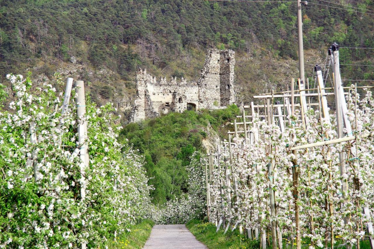 Hotel Montani Morter Bagian luar foto